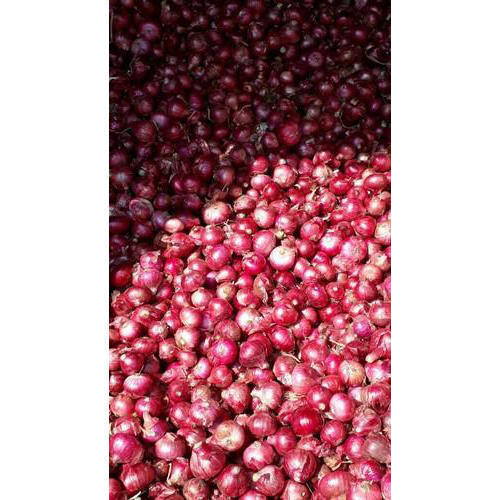 Export Quality Fresh Red Onion