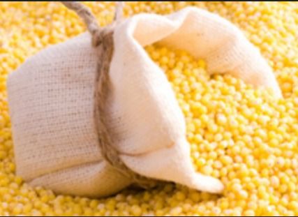 High Grade Yellow Maize