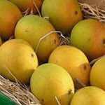 Dried Mangoes - Premium Quality, Hygienically Processed, Naturally Sweet and Delicious