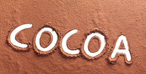 Cocoa Powder