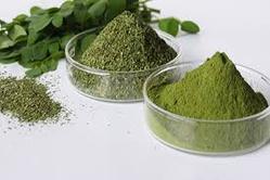 Moringa Oliefera Leaf Powder
