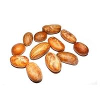 Bitter Kola Nuts