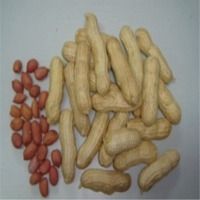 Chinese Peanuts Kernels