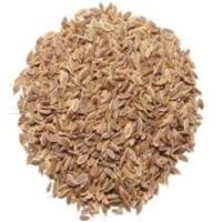 Dill Seeds - Premium Quality Dried Herb, Distinctive Caraway-Like Flavor, Ideal for Winter Cropping