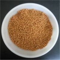 Mustard Seeds - Small Annual Oil Seed Plant, Yellowish Green Leaves, Fruity Pods with Seeds