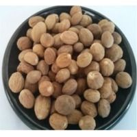 Nutmeg - Dried, De-Husked Seeds with Aromatic Flavor Profile | Premium Quality for Culinary and Nutritional Use