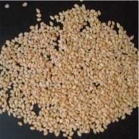 Sesame Seeds - Natural Varieties, Pure Black to Creamy White | Rich in Proteins, Cholesterol-Free, Pest Resistance