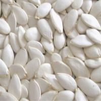 Snow White Pumpkin Seeds