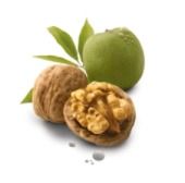 Walnuts