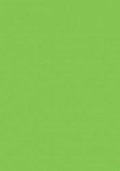 Greenlam Solids Standard Bright Green Suede Laminated Plywood