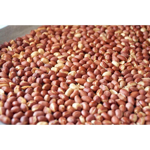Oil Free Roasted Groundnuts