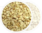 Organic Natural Sesame Seed