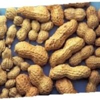 Raw Peanuts