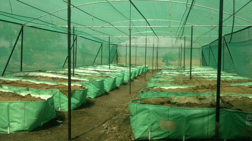 Green Poly Tarpaulin House