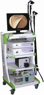 Flexible Video Endoscopy System