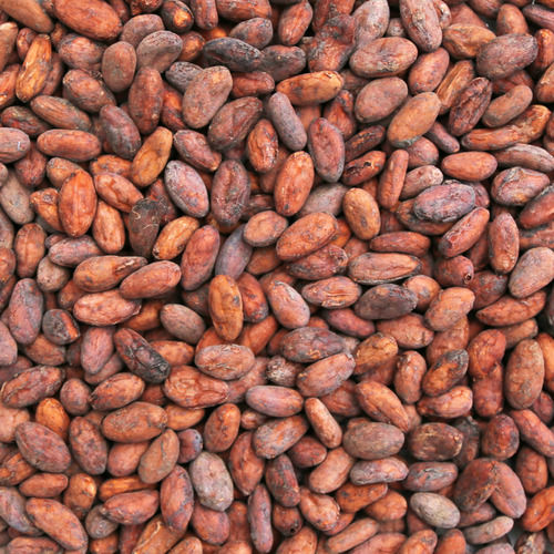 100% Organic Cocoa Beans