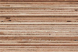 MR Grade Plywood - High Density Hardwood, Smooth Surface Core Veneers | Termite Resistant, Hot Pressed Durability