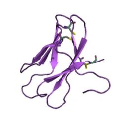 Alpha Amylase - Genetically Engineered Bacterial Strain, Efficient Viscosity Reduction and Sugar Crystallization Enhancement