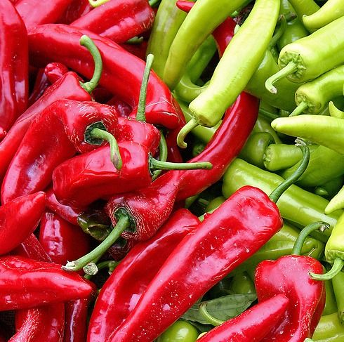 Highly Fresh With Low Price Chilli
