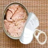 Canned Tuna Fish 