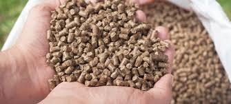 Cattle Feed Pellet