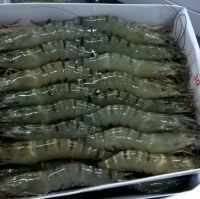 Frozen Black Tiger Shrimp