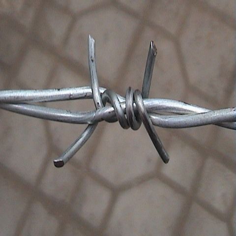 Concertina Barbed Fencing Wire