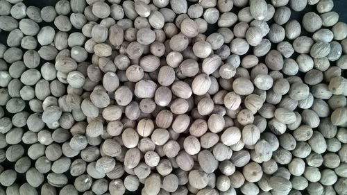Nutmeg Without Shell (Jaifal)