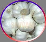 Fresh Garlic - Premium Quality, Hand-Sourced from Genuine Vendors, Available in Eco-Friendly Packaging