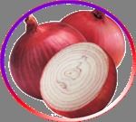 Fresh Onion