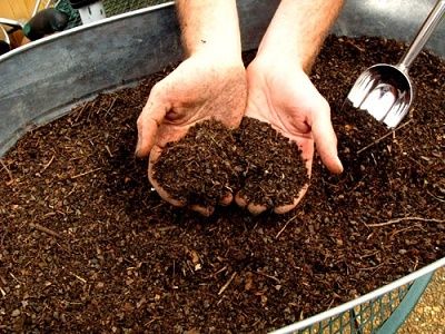 Organic Fertilizer