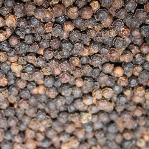 Premium Quality Rich Flavor Black Pepper