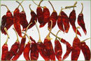 Quality Checked Dry Red Chillies