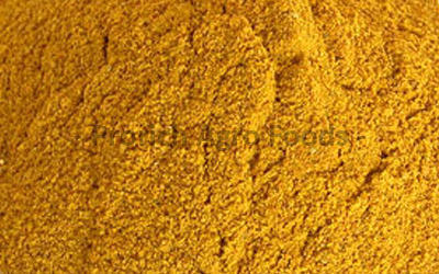 Quality Tested Maize Gluten
