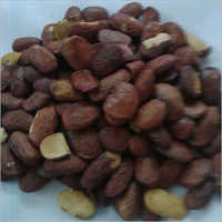Quality Tested Pongamia Seed