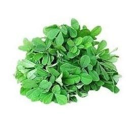 Fresh Fenugreek Leaf