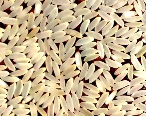 Bpt 5204 Rice