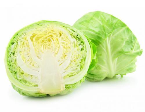 High Grade Fresh Cabbage
