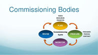 Process Commissioning Services