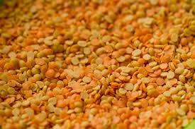 Red Lentils Pulses