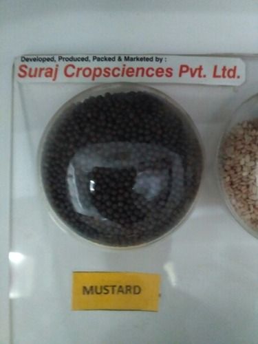 Exclusive Hybrid Mustard Seed