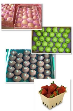 Exclusive Fruits Packaging Tray