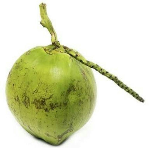 Organic Fresh Green Coconuts