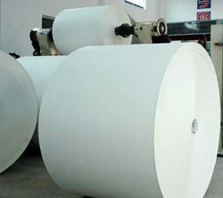 PE Coated Paper Rolls - High Quality Leakage-Proof Material, Customizable Sizes and Printing Options