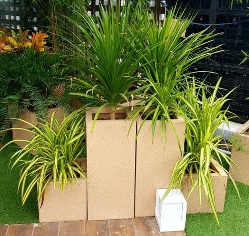 Rotomolded Plastic Planters