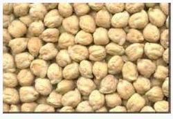 Fresh and Hygienic White Chickpeas