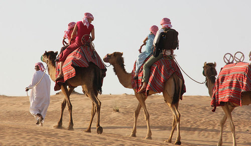 Dubai Tour Packages Service By Travellers Destination