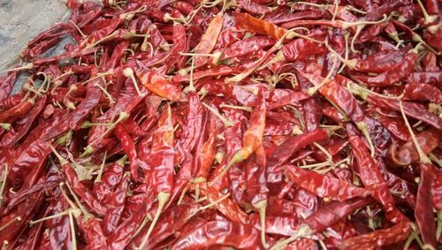 Dry Red Chili (Sannam S334)