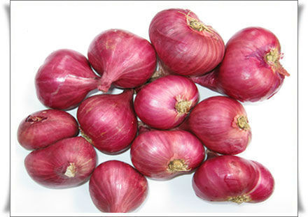 Shallot Small Red Onions