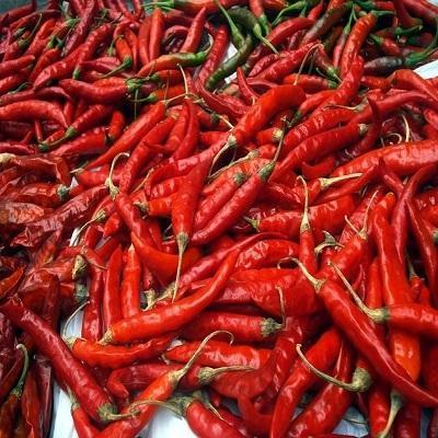 Dry Red Chilli